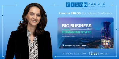 Big Business and the Romanian State - Ramona Bîrlog @ Juridice.ro Conference